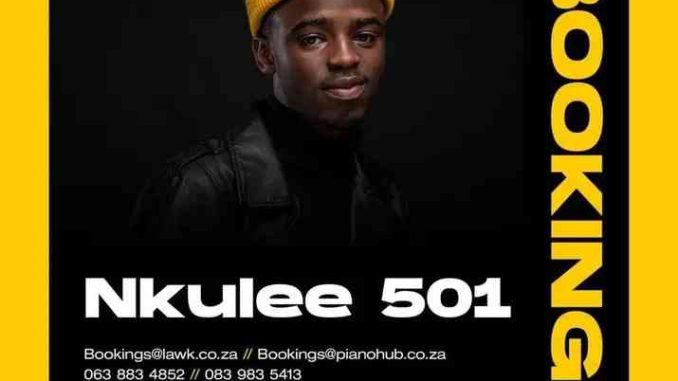Nkulee 501 & MuziqalTone - Summerhouse Sessions