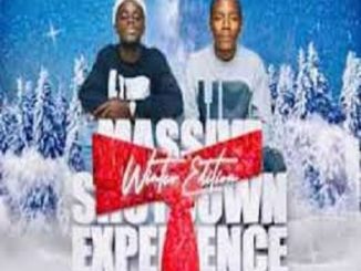 Nkulee501 & Skroef28 - Journey To Massive Shutdown Experience (2021 Winter Edition)