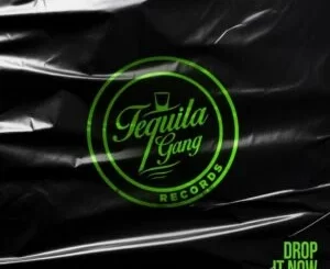 Reginald SA - Drop It Now