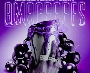 SjavasDaDeejay, LeeMcKrazy & XoliSoulMF - Amagrapes