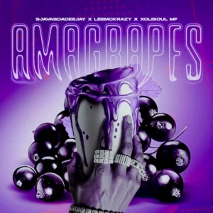 SjavasDaDeejay, LeeMcKrazy & XoliSoulMF - Amagrapes