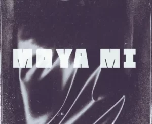 ZANTII, The Lowkeys & Busta 929 - Moya Mi