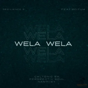 Caltonic SA, Perspectiv Soul & Nampiiey - Wela Wela ft. BoituM