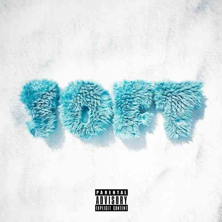 Nasty C & Usimamane - Soft Life
