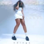 Zanda Zakuza - Ndinga ft. AirBurn Sounds & John Delinger