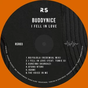 Buddynice - I Fell In Love EP