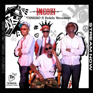 Tumisho - Ingozi ft. Dedela Movement