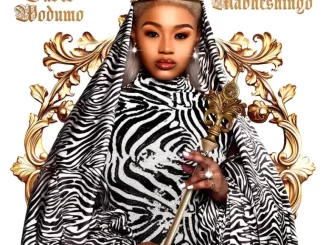 Babes Wodumo - Mabheshingo Album