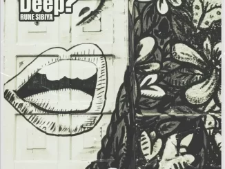 Rune Sibiya - Got Some Deep ? EP