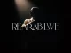 Sfarzo Rtee - Rearabilwe Album