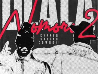 Cyfred & Sayfar - Nomoro Docket Album