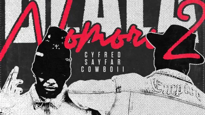 Cyfred & Sayfar - Nomoro Docket Album