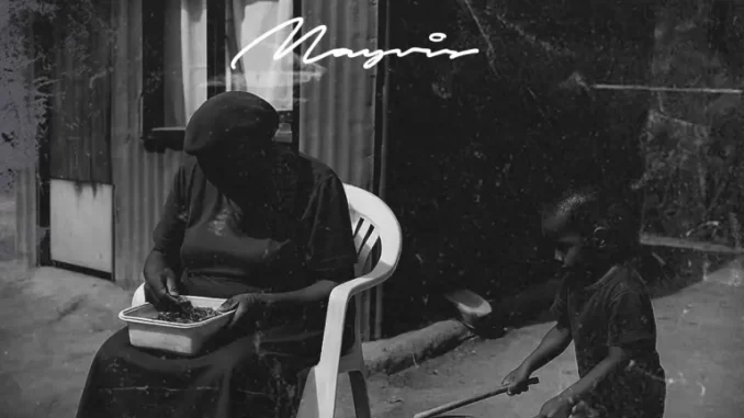 Dlala Thukzin - MAYVIS Album