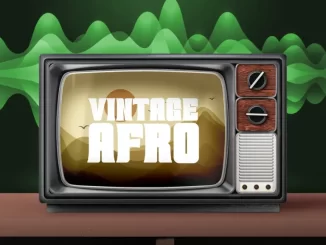 Mobi Dixon - Vintage Afro EP