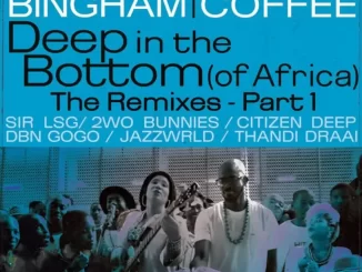Monique Bingham & Black Coffee - Deep In The Bottom (Of Africa) The Remixes Pt. 1