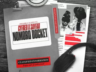 Cyfred & Sayfar - Nomoro Docket Album