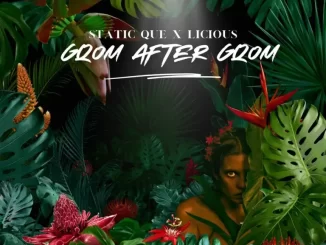 Static Que & Licious - Gqom after Gqom EP