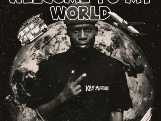 Kay Musician, Buddy Long, Chuck Dee, Bongs, Emi Baster - Welcome to my world EP