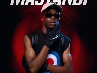 SkavaNator - Mastandi EP